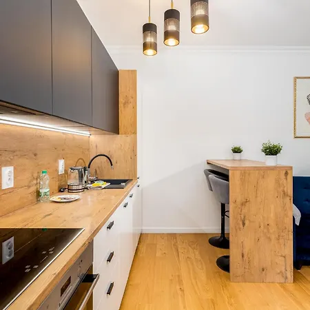Podgorze Modern Studio *